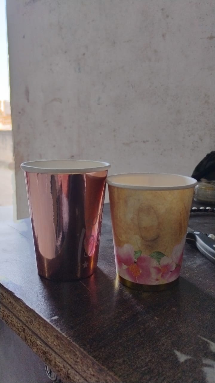 Disposable Paper Cups Disposable Tea Coffee Cups (24 Pcs Set Mix Color Design)