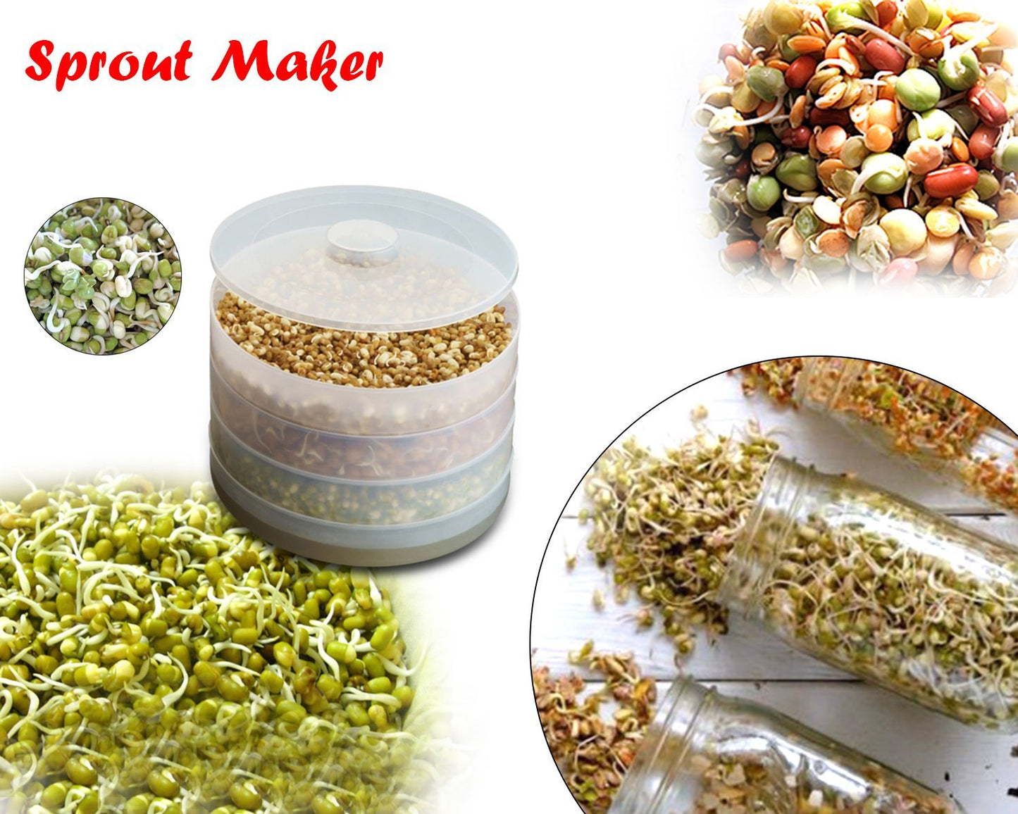 4-Compartment Plastic Sprout Maker – Efficient Seed Sprouting for Healthy Meals