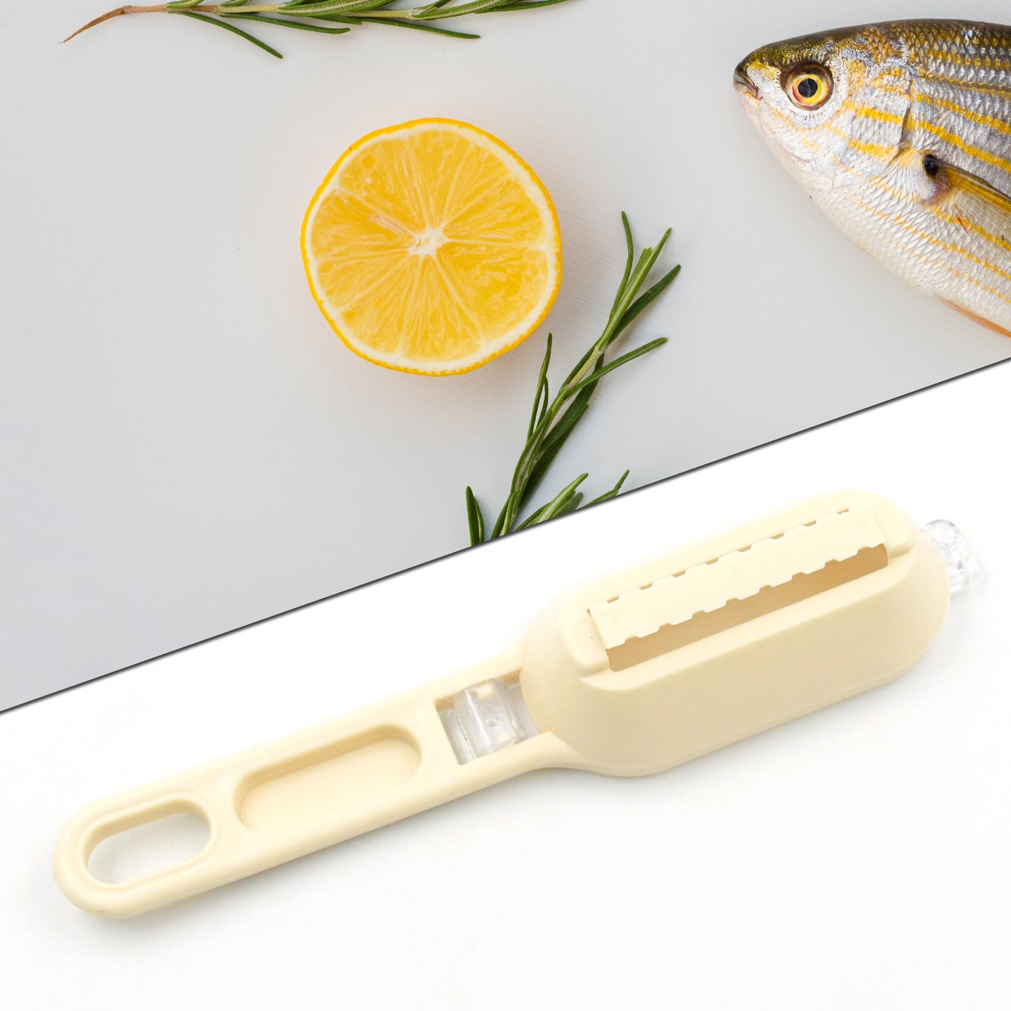 Plastic Fish Scales Grater Scraper with Cover – Easy Fish Cleaning Tool