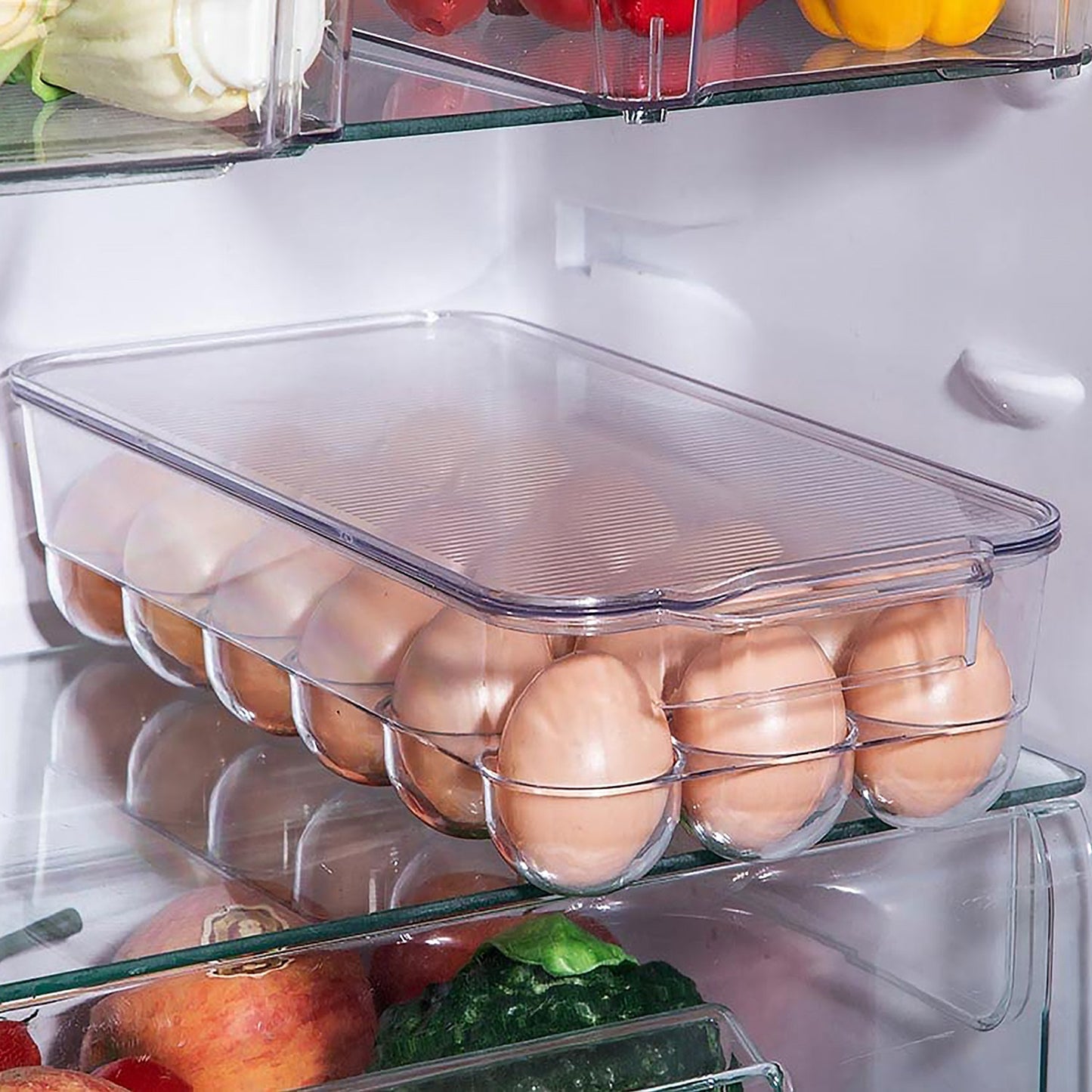 18 - Cavity Plastic Egg Storage Box with Lid & Handles - Chestore
