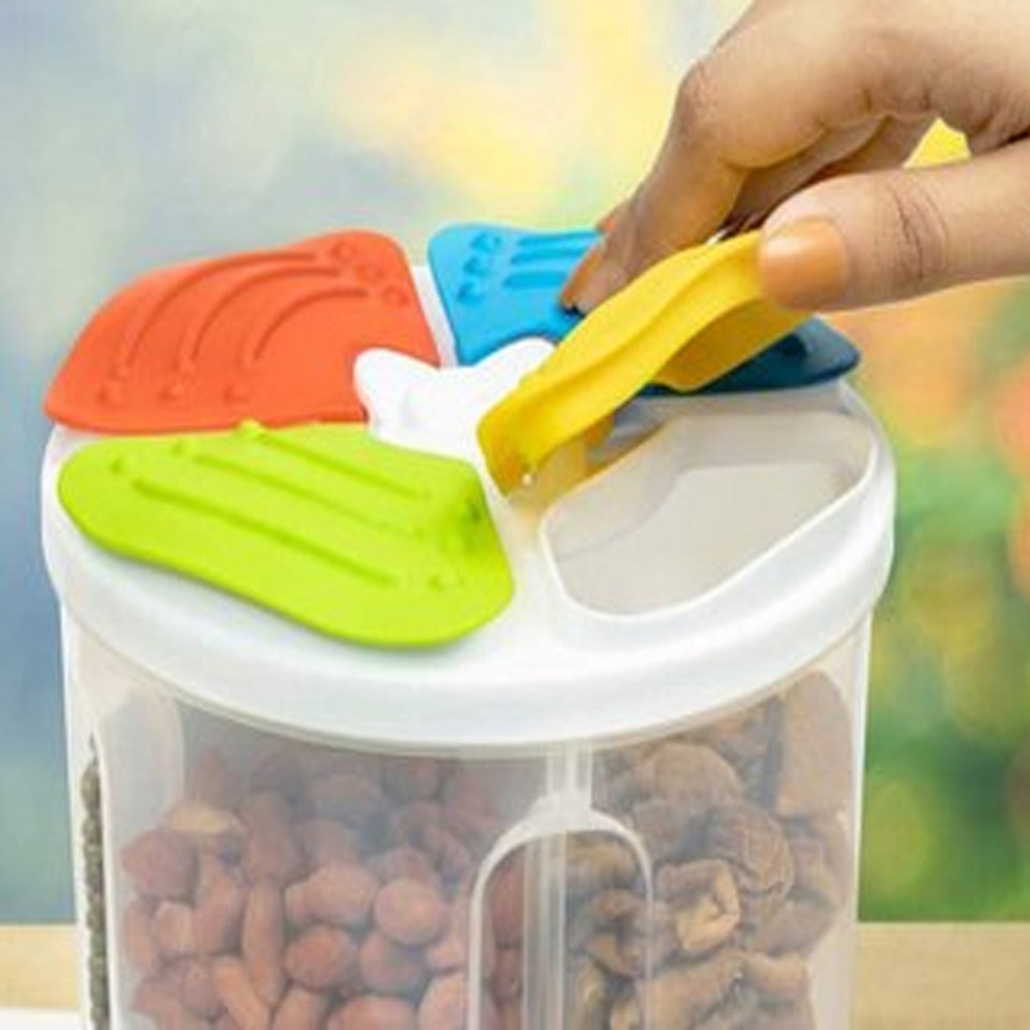 4 - Section Airtight Transparent Food Storage Container – Organize with Ease - Chestore