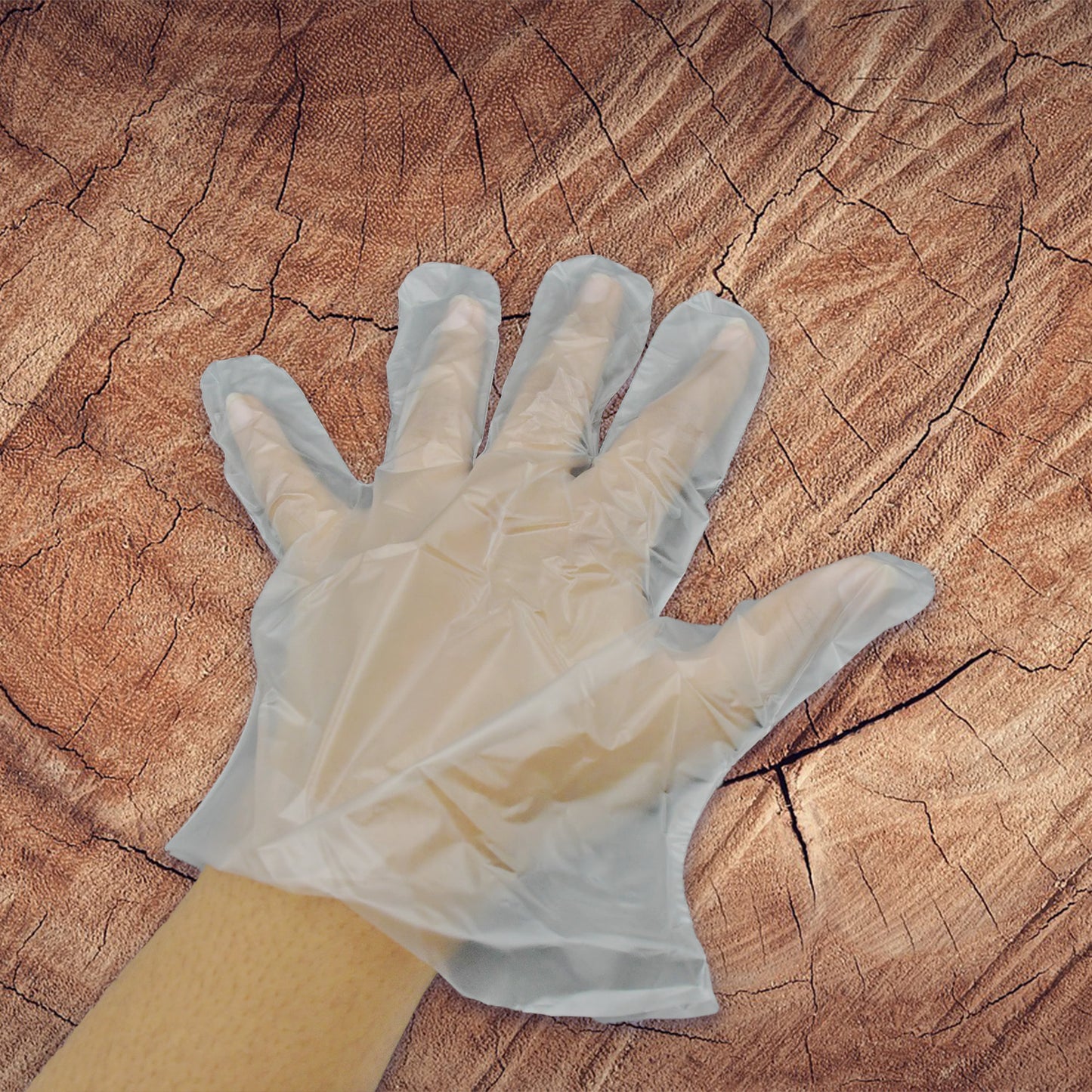 Large Transparent Disposable Plastic Gloves (100 Pcs)