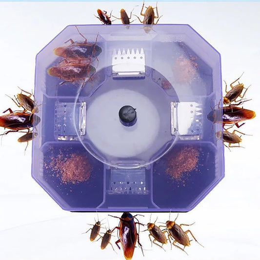 Cockroach Trap Box – Non-Toxic Roach & Bug Catcher for Home & Kitchen