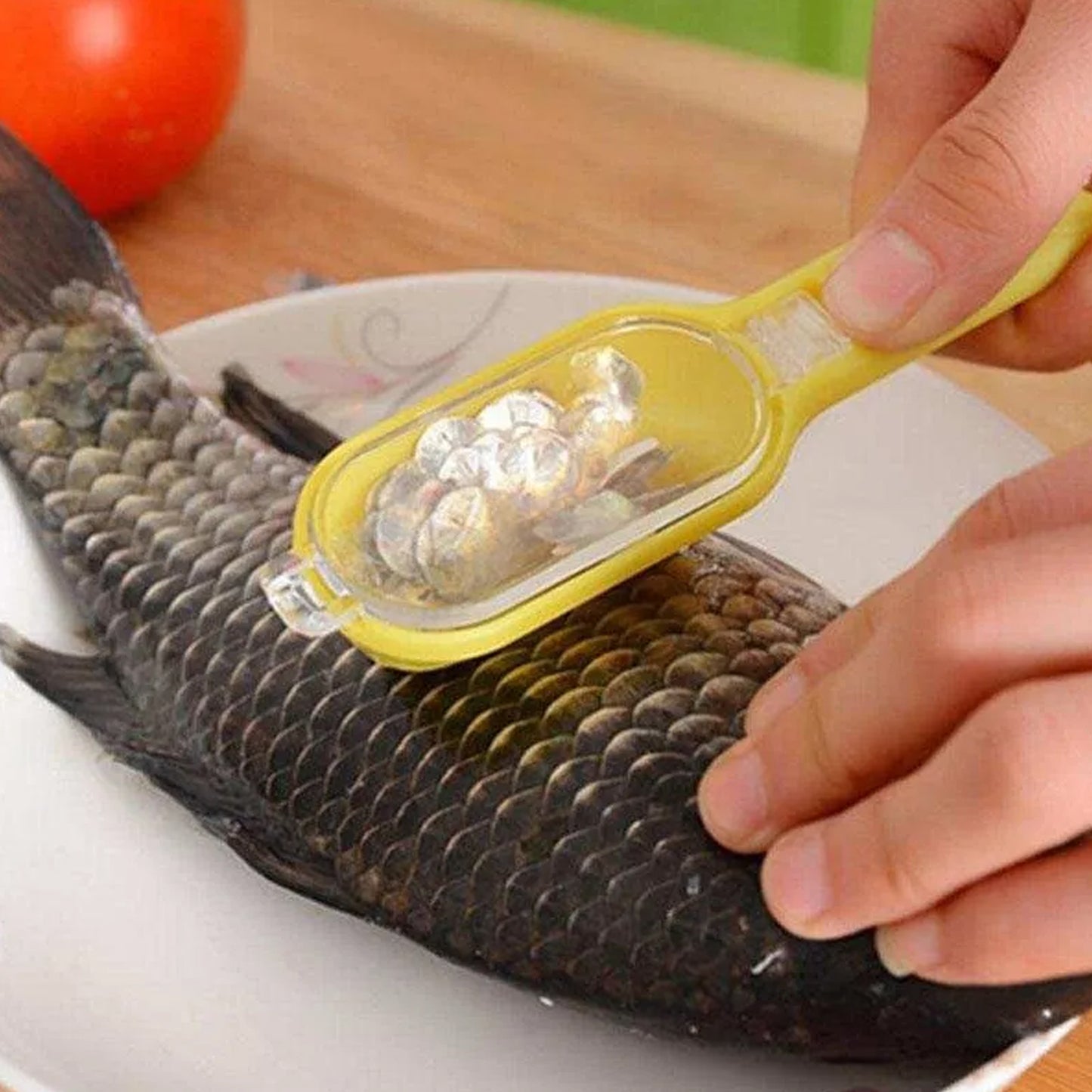Plastic Fish Scales Grater Scraper with Cover – Easy Fish Cleaning Tool