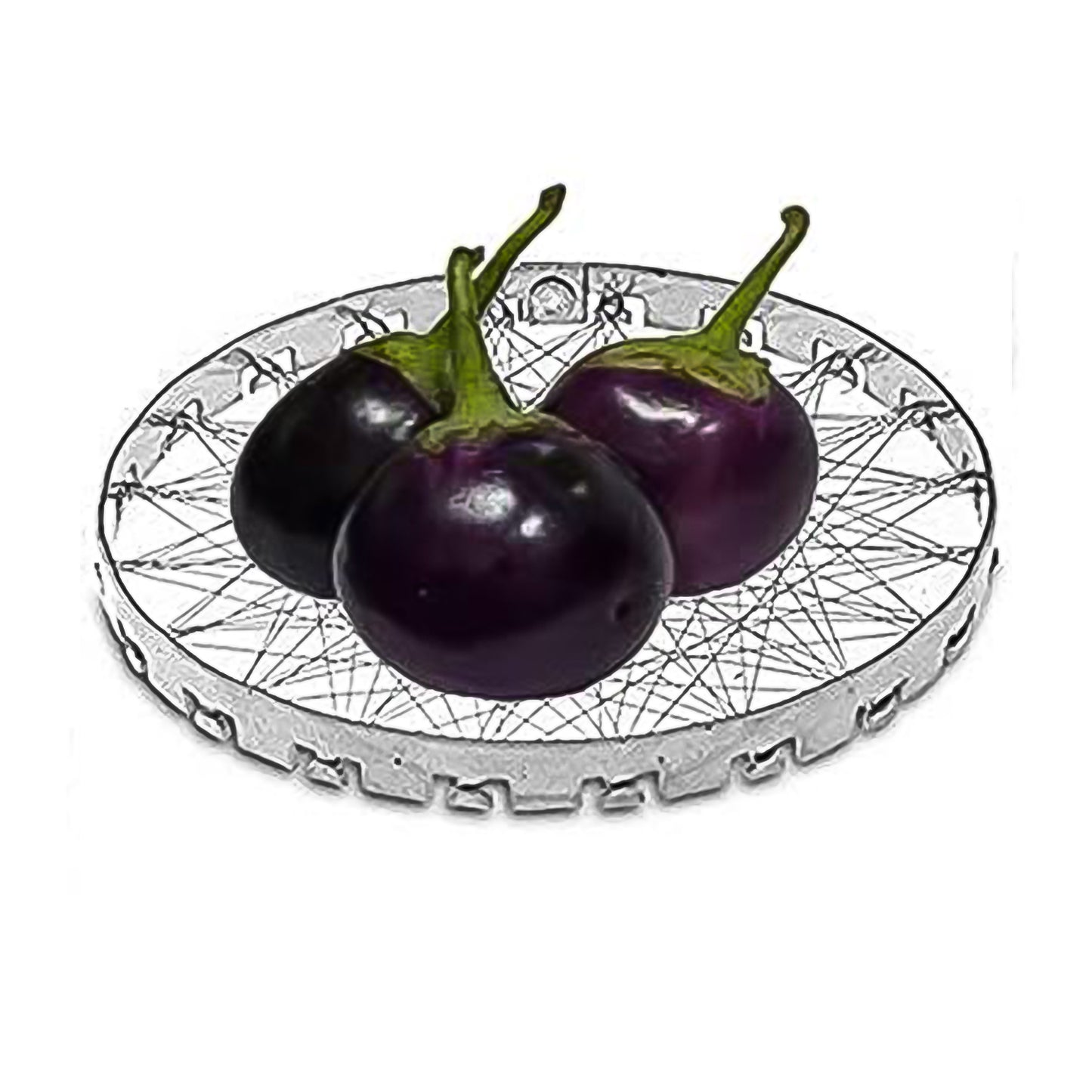 Stainless Steel Grill Jalli | Mini Tandoor for BBQ & Roasting