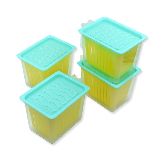 Fridge Storage Containers with Handle – 4 Pcs Kitchen Organizer - Chestore