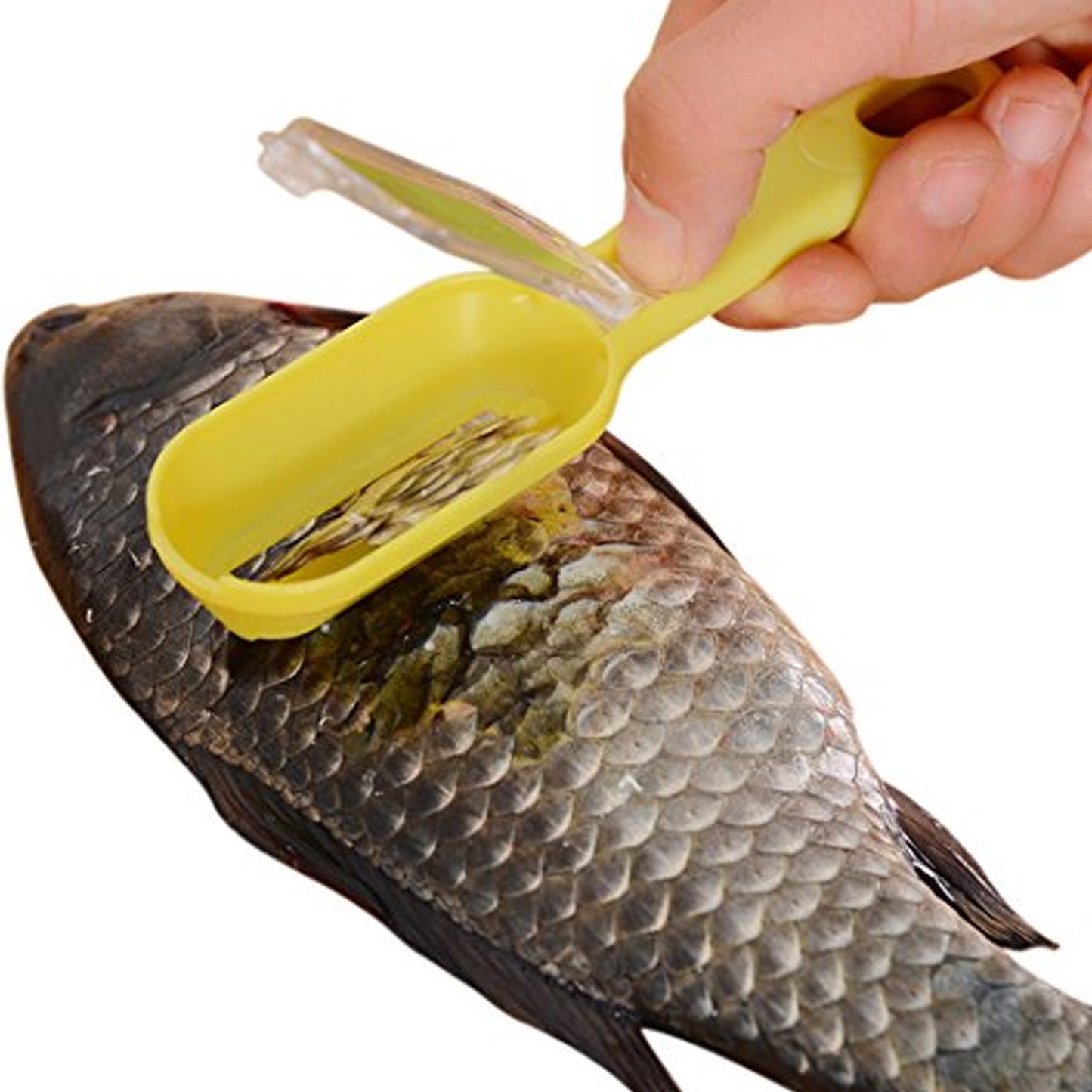Plastic Fish Scales Grater Scraper with Cover – Easy Fish Cleaning Tool
