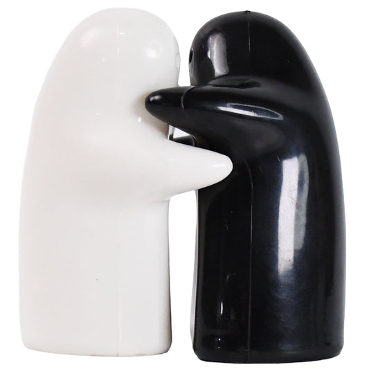 Ceramic Salt & Pepper Shakers – Cute & Stylish 2-Piece Spice Set 🧂✨